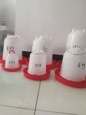 Ground Chicken Anti Crush 10L Poultry Feeder Drinker