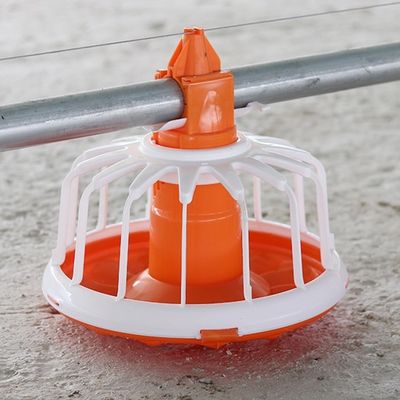 Auto Pan Feeder Steel Broiler Poultry Equipment