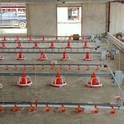 Poultry Farm Auto 380V Chicken House Equipment