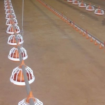 Closed House Chicken 20T Poultry Farm Equipment
