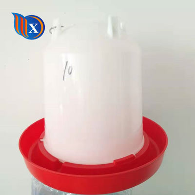 8L Pigeon Broiler Floor Baby Chick Water Feeder