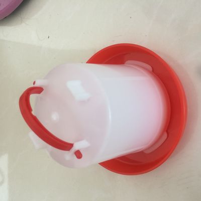 8L Pigeon Broiler Floor Baby Chick Water Feeder