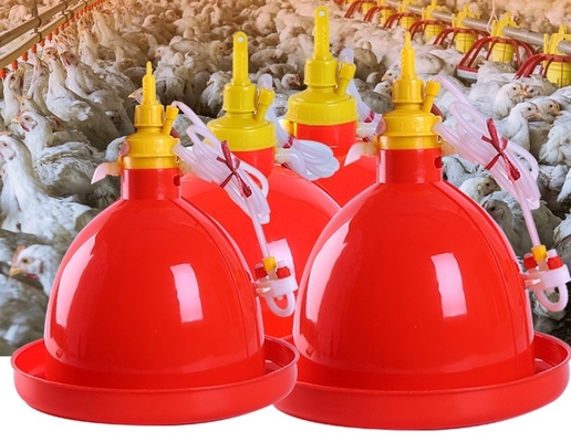 Broiler Animal Automatic 2kg Poultry Feeder Drinker For Husbandry Equipment